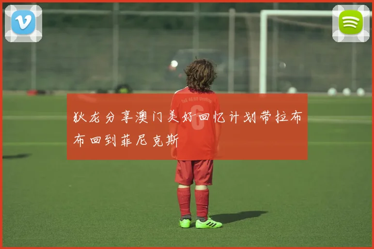 狄龙分享澳门美好回忆计划带拉布布回到菲尼克斯