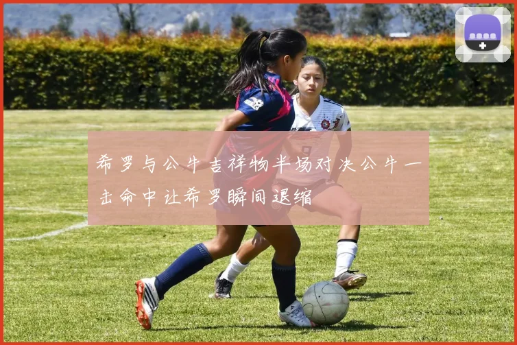 希罗与公牛吉祥物半场对决公牛一击命中让希罗瞬间退缩