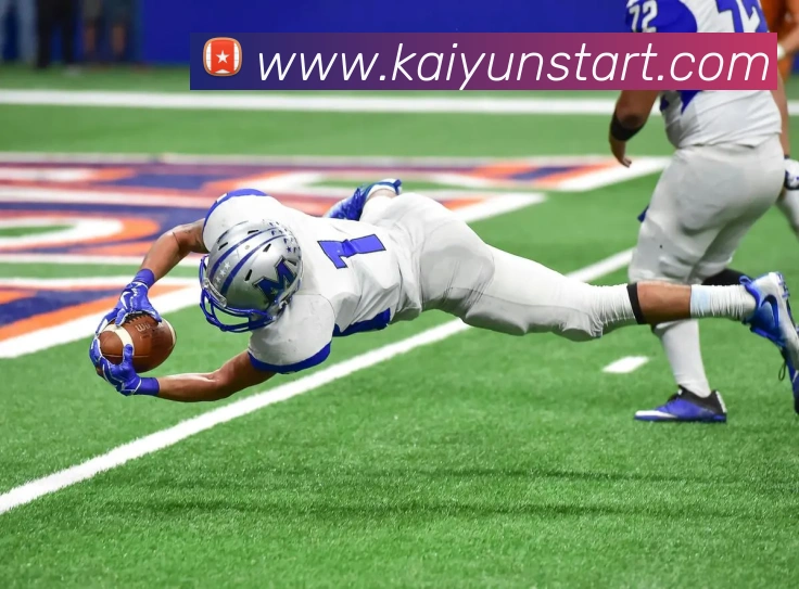 开云体育APP 封面图