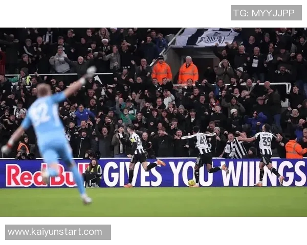 埃迪豪透露纽卡伤病情况博特曼缺席训练霍尔无缘热刺之战